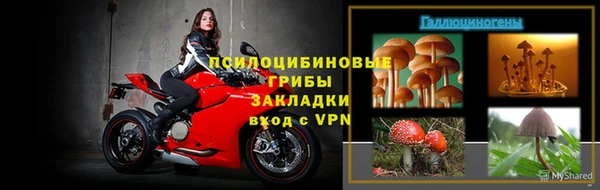 дурь Богородицк