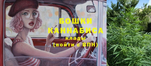 бошки Богданович