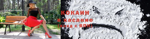 дурь Богородицк
