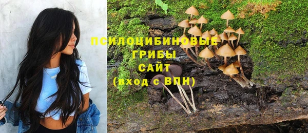 дурь Богородицк