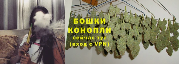 дурь Богородицк